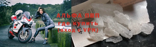 шишки Баксан