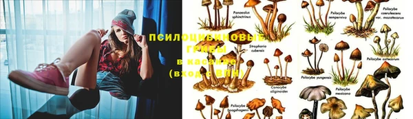 метадон Балабаново