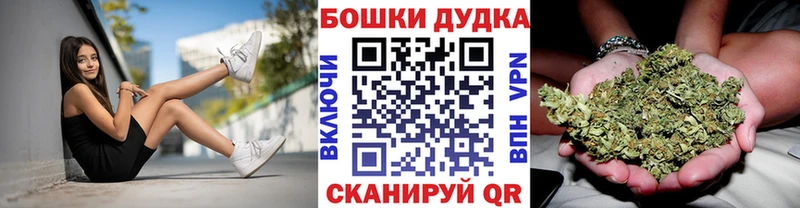 где купить   Заполярный  Шишки марихуана план 